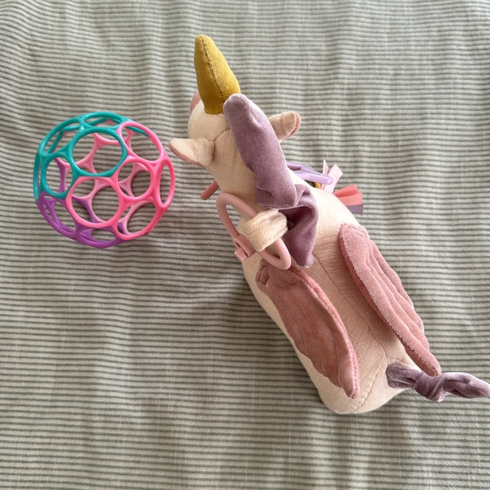 Itzy Ritzy Toy for Stroller or Car Seat
With a Montessori ball - Picture 3 of 5